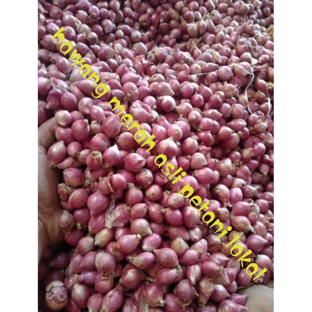 

bawang merah kering menambah aroma pasakan anda harga murah bawang berkualitas 1kg