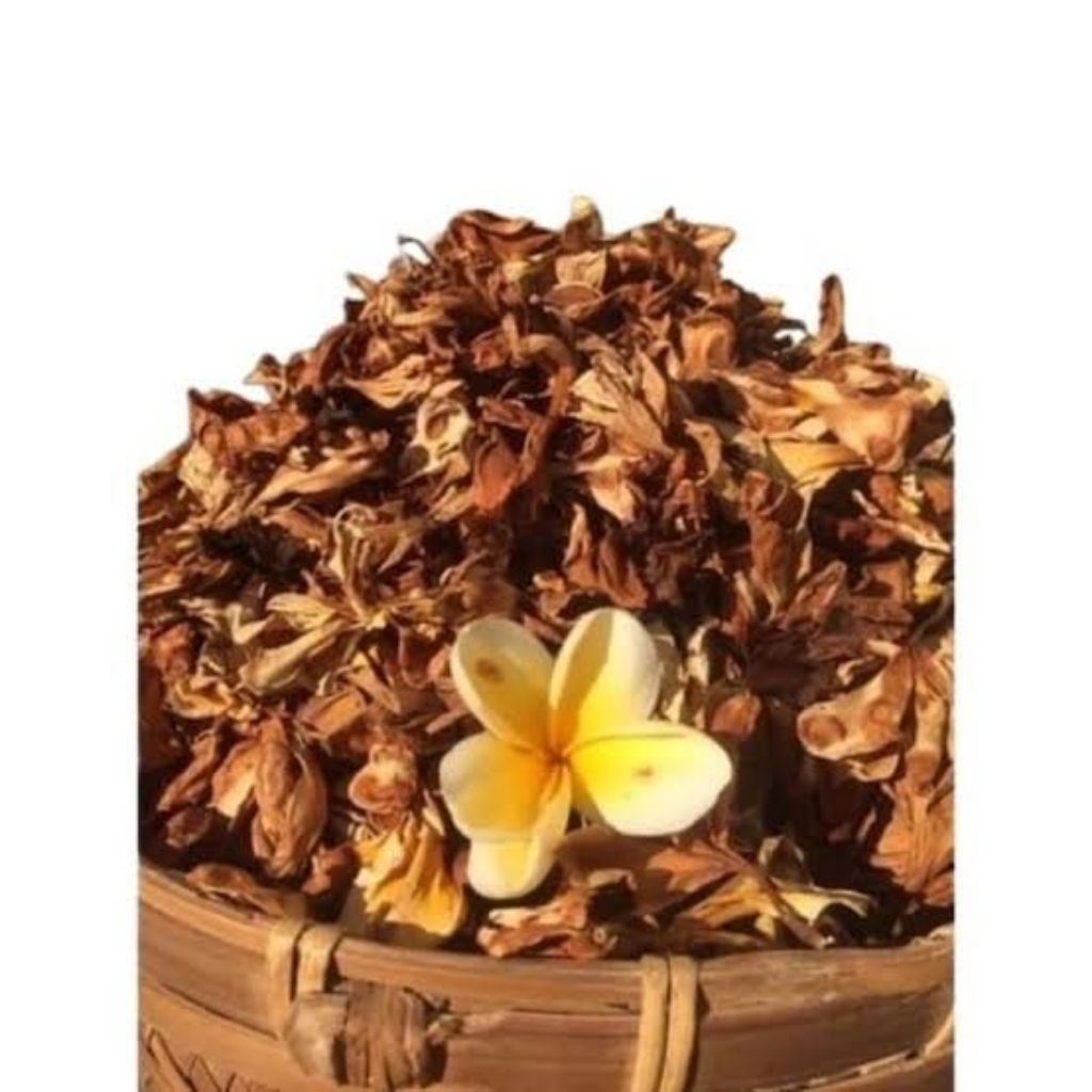 

Original Bunga Kamboja Kering