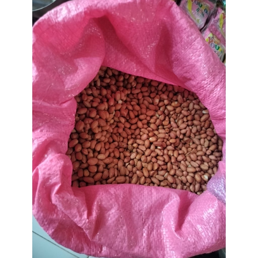 

Kacang Tanah Premium Bagus Dan Bersih