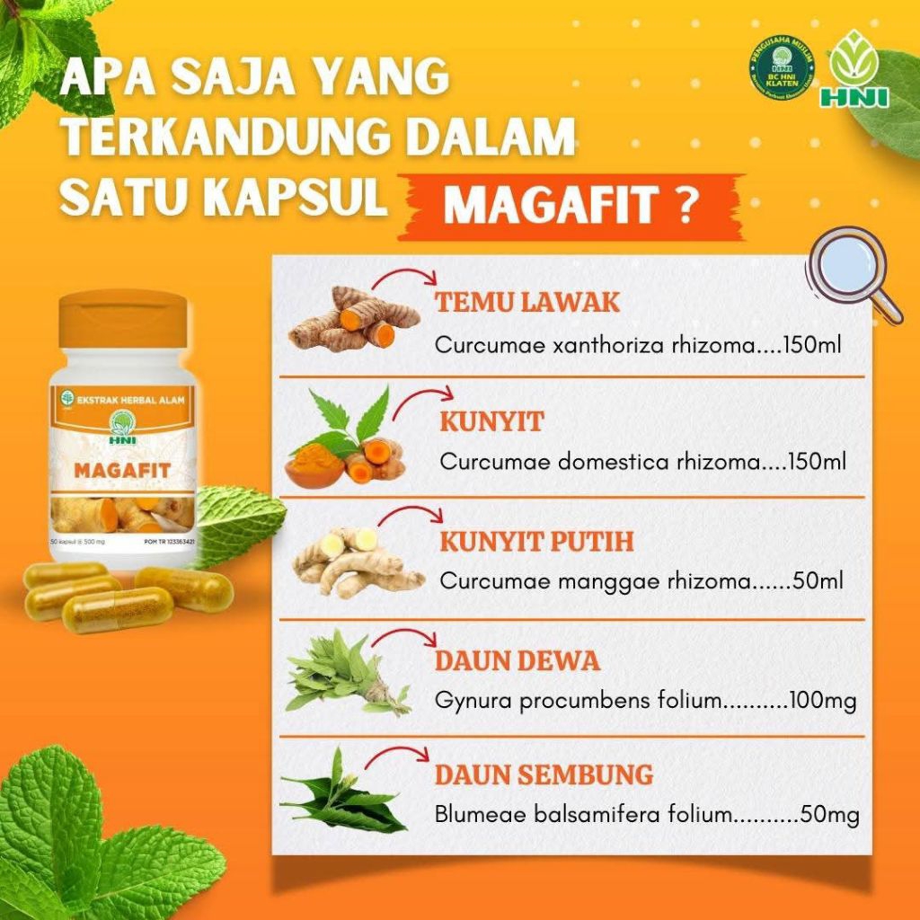 obat herbal magh, herbal lambung, obat herbal perut Magafit
