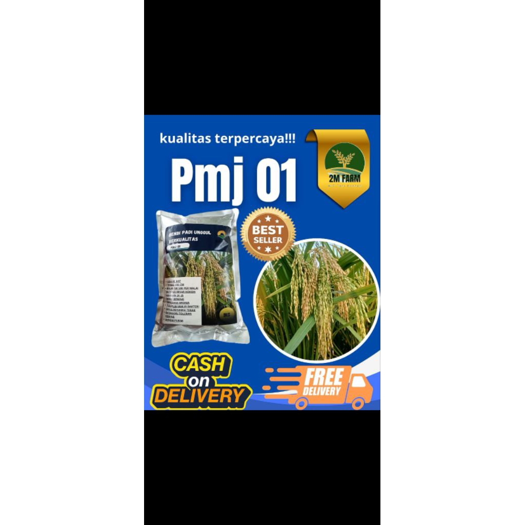 bibit padi PMJ01 kemasan 1kg