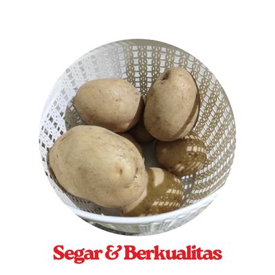 

Kentang pangalengan 1kg segar dan berkualitas