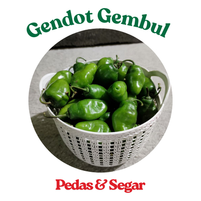 

Cabe gendot 1kg pangalengan segar dan pedas maknyusss