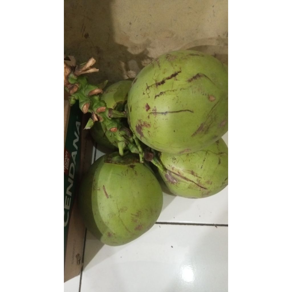 

kelapa muda seger dari baduy
