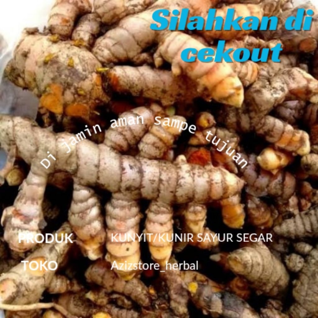 

kunir/kunyit sayur segar siap kirim berat 1 kg