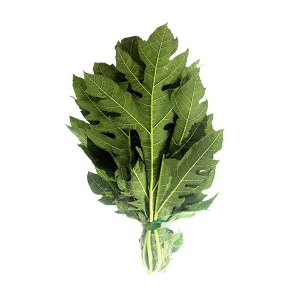 

daun pepaya/gandul cocok buat lalapan/ kg