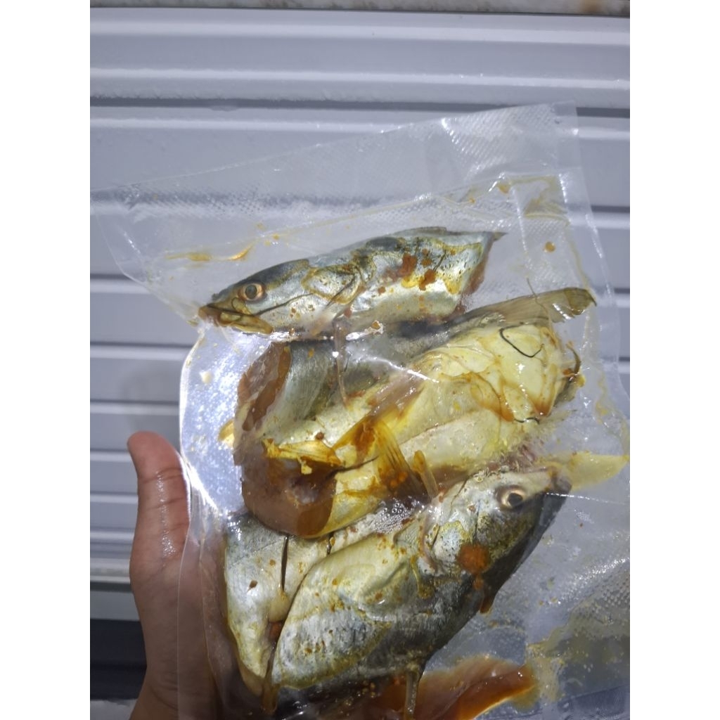 

ikan Manyung marinasi fresh (froozen) isi 5 potong