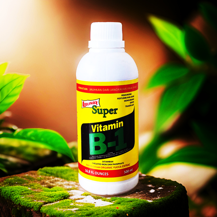 Vitamin B1 untuk Tanaman – Mendorong Pertumbuhan Akar & Mengurangi Stres Tanam | Cocok untuk Semua J