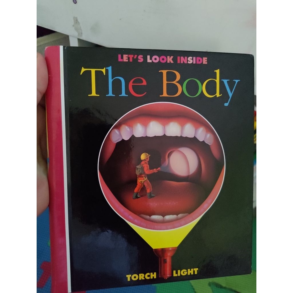 The Body MFD lawasan