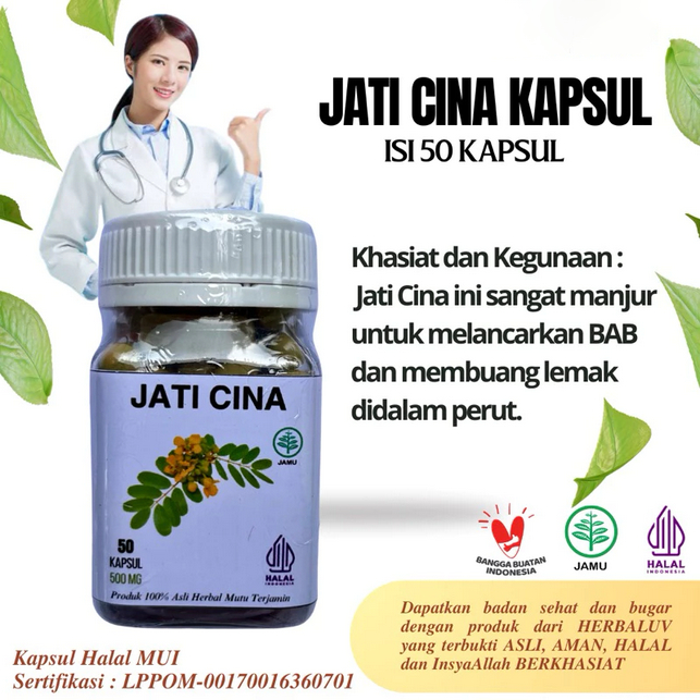 Kapsul Daun Jati Cina Original Herbal