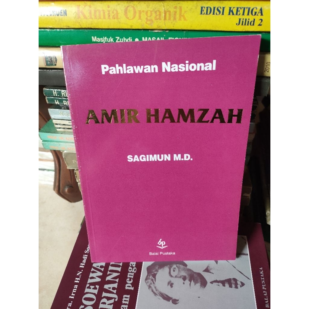 ORIGINAL BUKU PAHLAWAN NASIONAL AMIR HAMZAH SAGIMUN MD