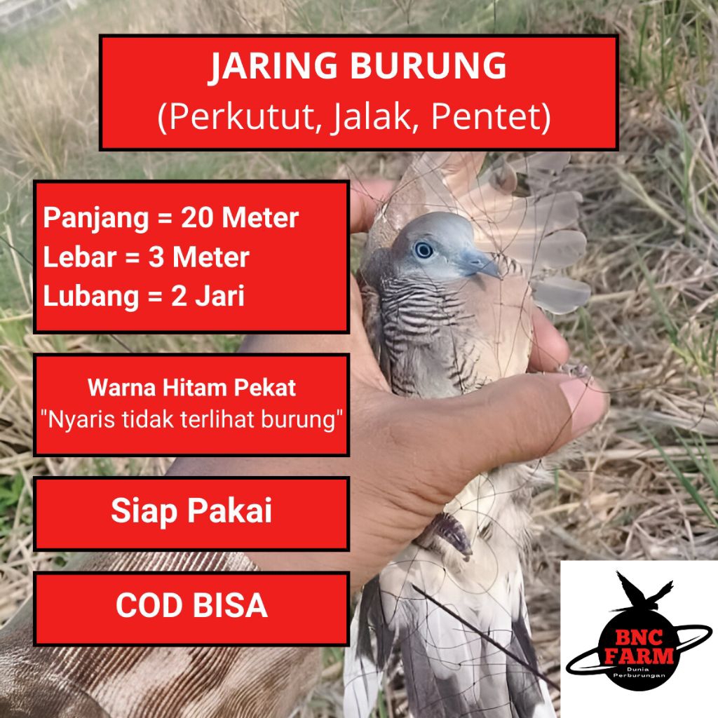 JARING PERKUTUT PIKAT JEBAKAN BURUNG KUTILANG JALAK 20 METER