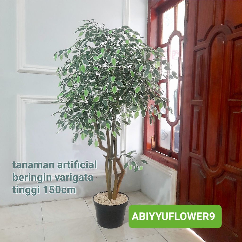 NAREN DEKORASI Tanaman Hias Beringin Varigata Aesthetik, Pohon Hias Plastik LATEX, Beringin Varigata