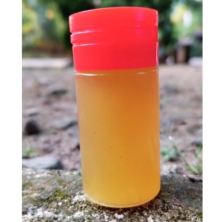 

madu randu murni asli sample