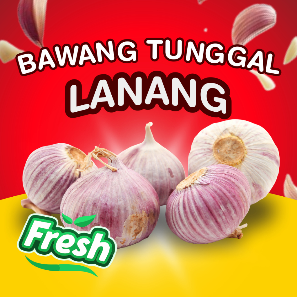 

Bawang Tunggal Lanang Mentah Fresh 500 gr - 1000 gr