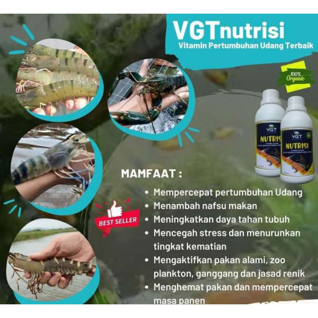 VGT.Nutrisi.Untuk.Udang.Tambak