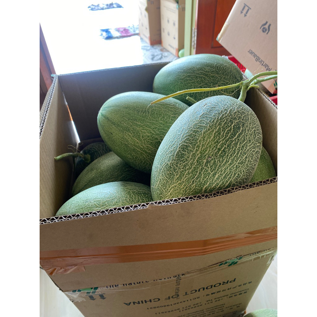 

MELON PREMIUM THE BLUES GRADE B