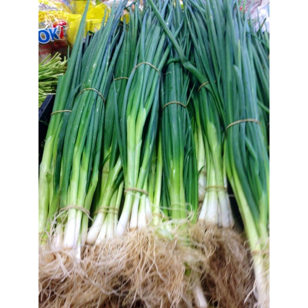 

200gr daun bawang prei