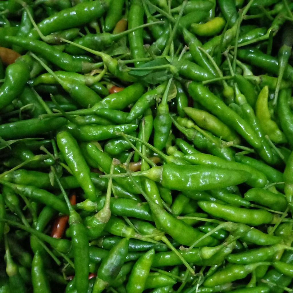 

cabe cabai rawit hijau dari petani