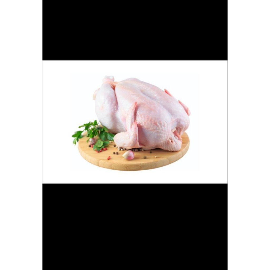 

ayam kampung asli berat 700-800