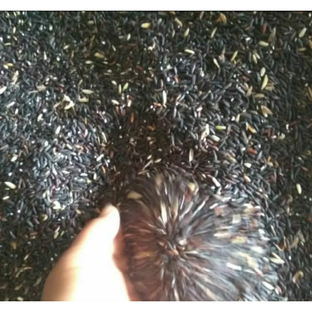 

ketan hitam super 500gram