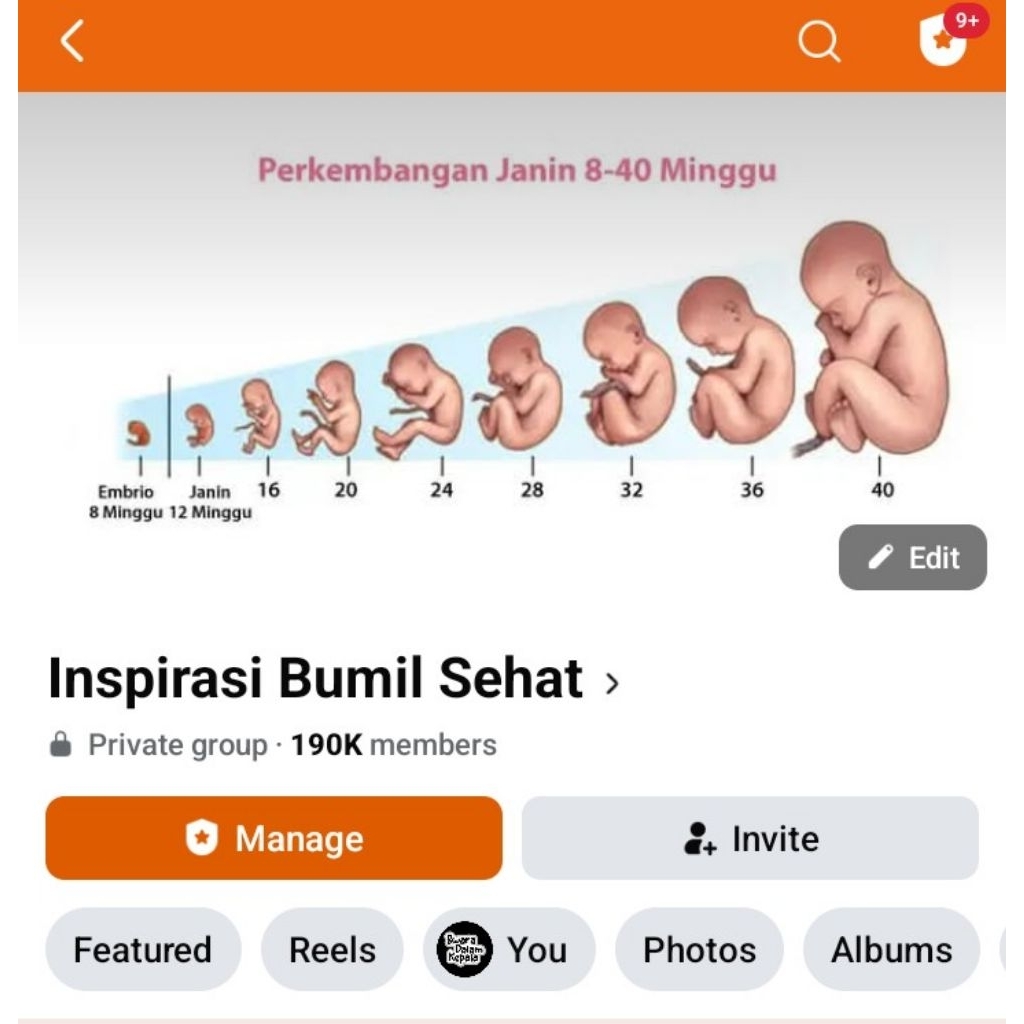 Grup Facebook Organik Aktif 190k Member