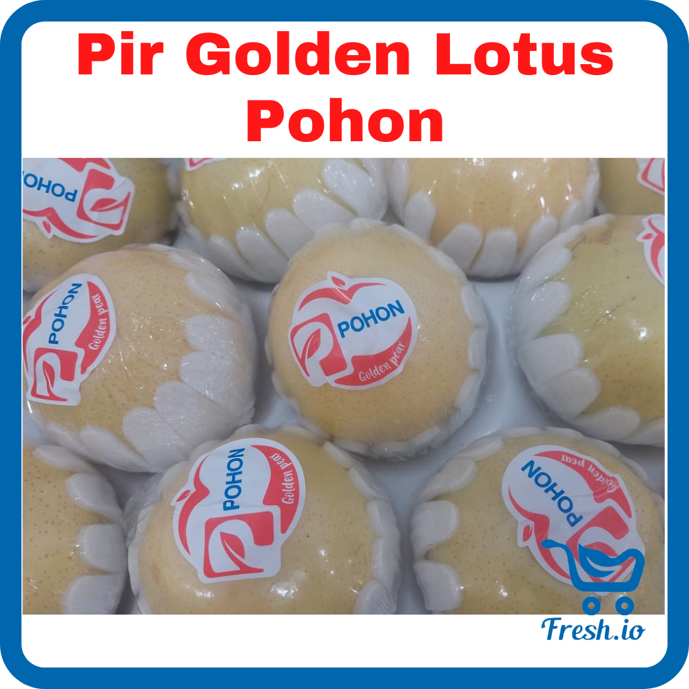 

Pir Golden Lotus Pohon 1000gr