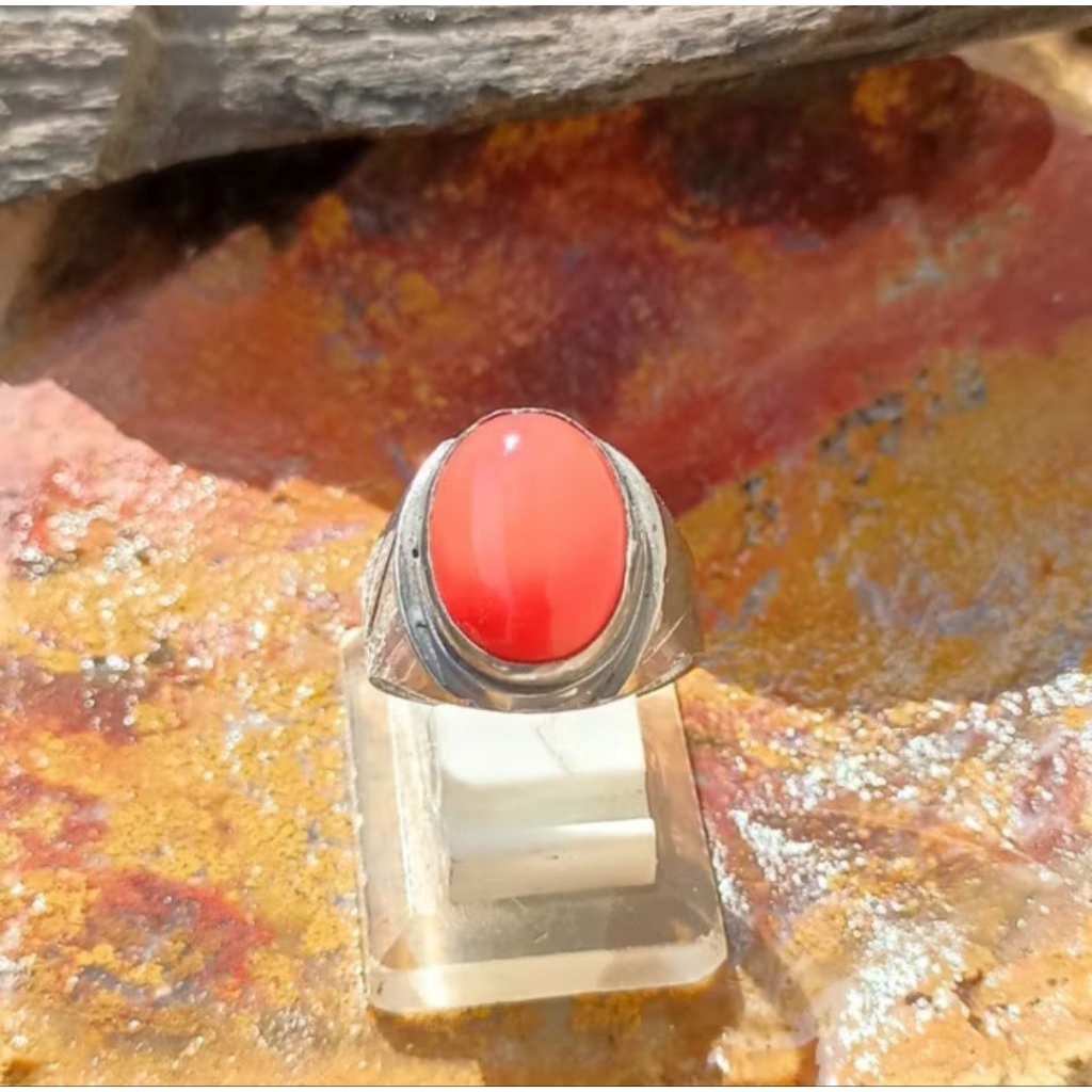 batu cincin merah red Marjan Laut merah marjan