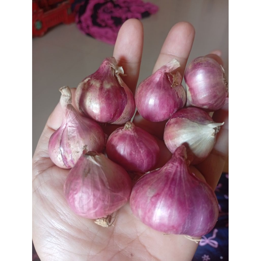 

bawang merah lokal 500gr