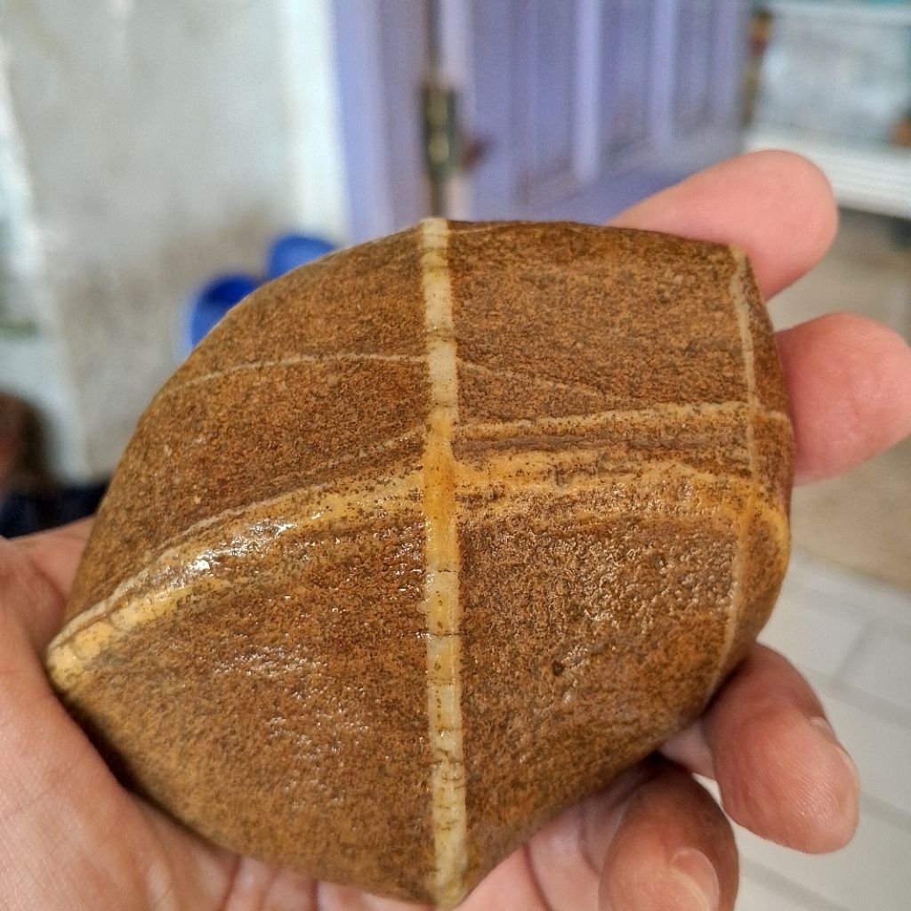 batu tapak jalak natural asli alam