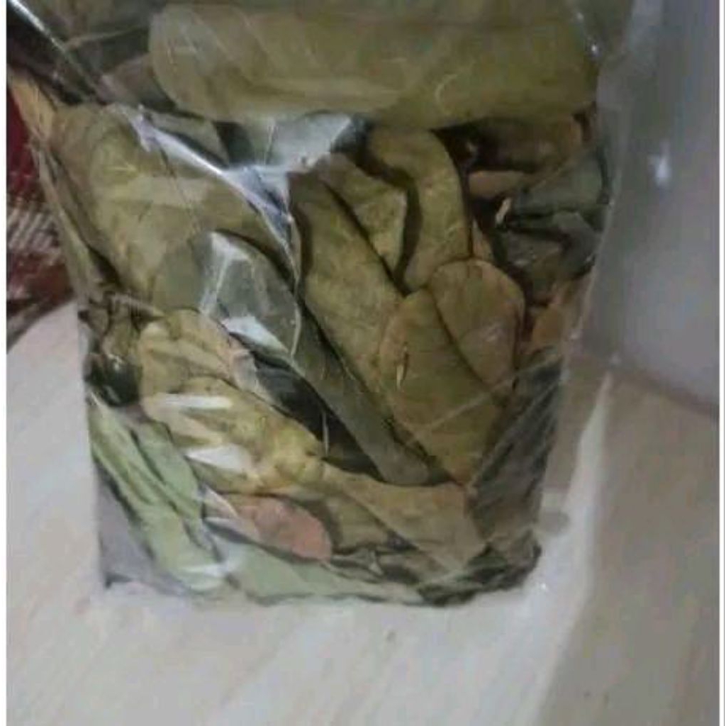 

Daun katepeng kering 500 lembar obat herbal