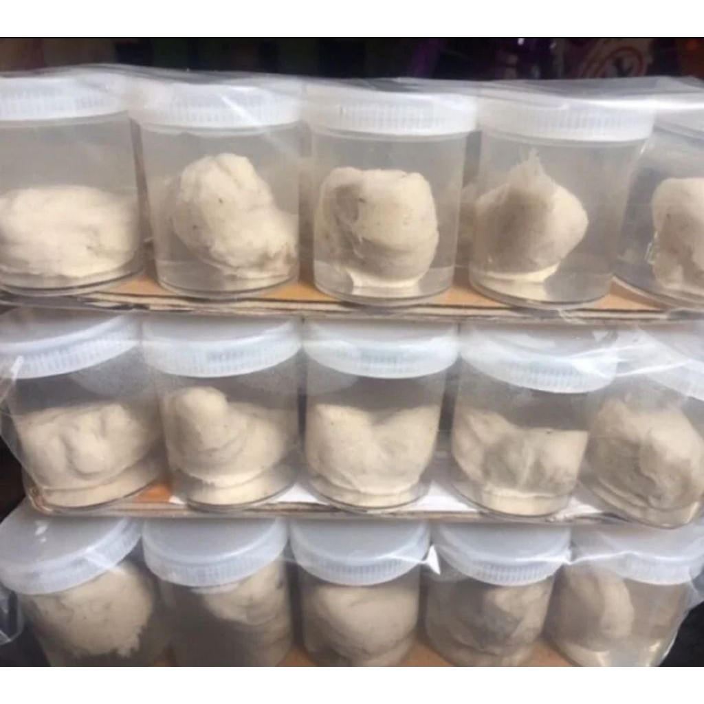 pulut burung getah bendo campur getah karet siap pakai