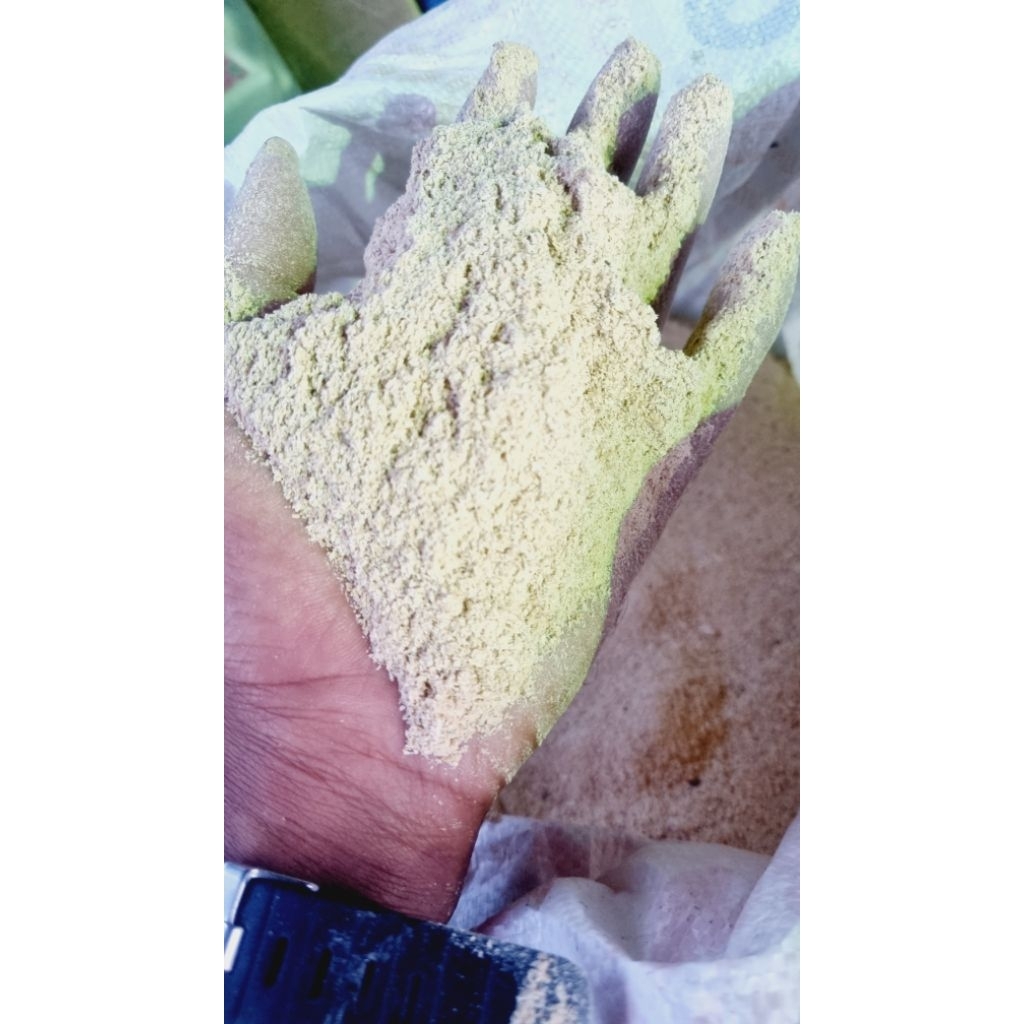 

Bekatul/dedek murni kualitas SEDANG baru asli selipan padi 2500/kg