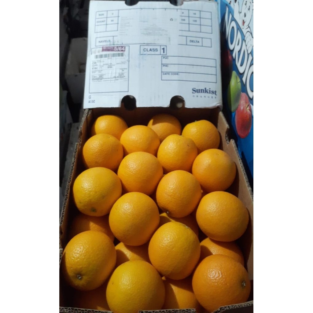 Indukbuah Buah Jeruk Sunkist Valencia Sankis valensia 1 Dus Karton