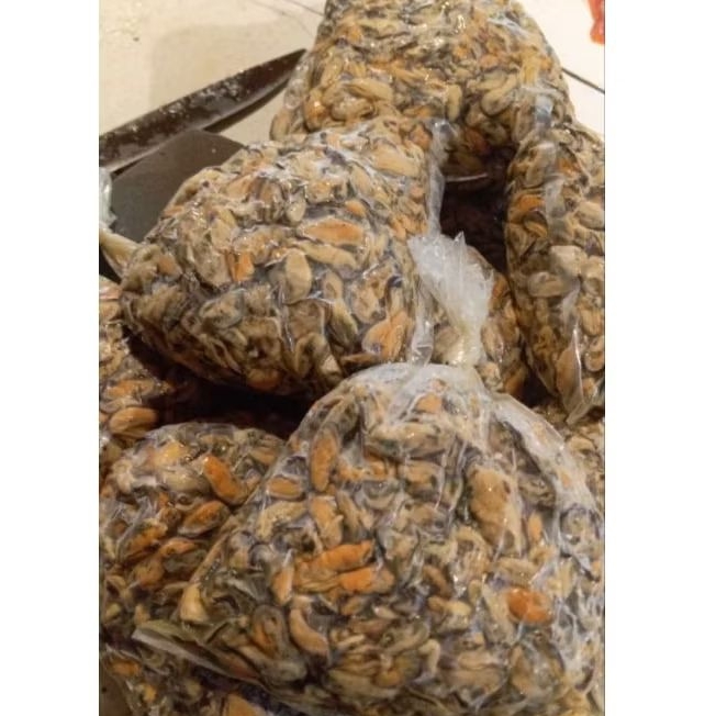 

Kerang Hijau Kupas - 500gr