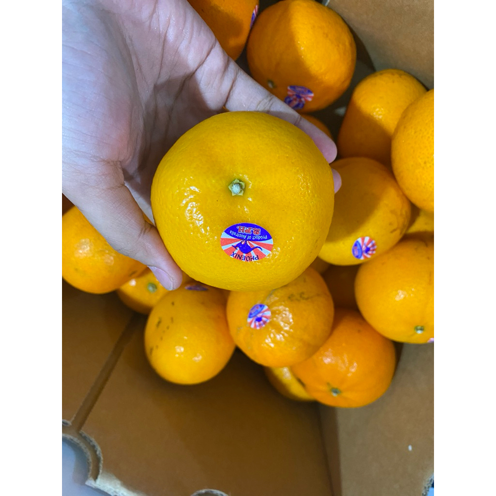 

JERUK KUPAS MURCOT MANDARIN