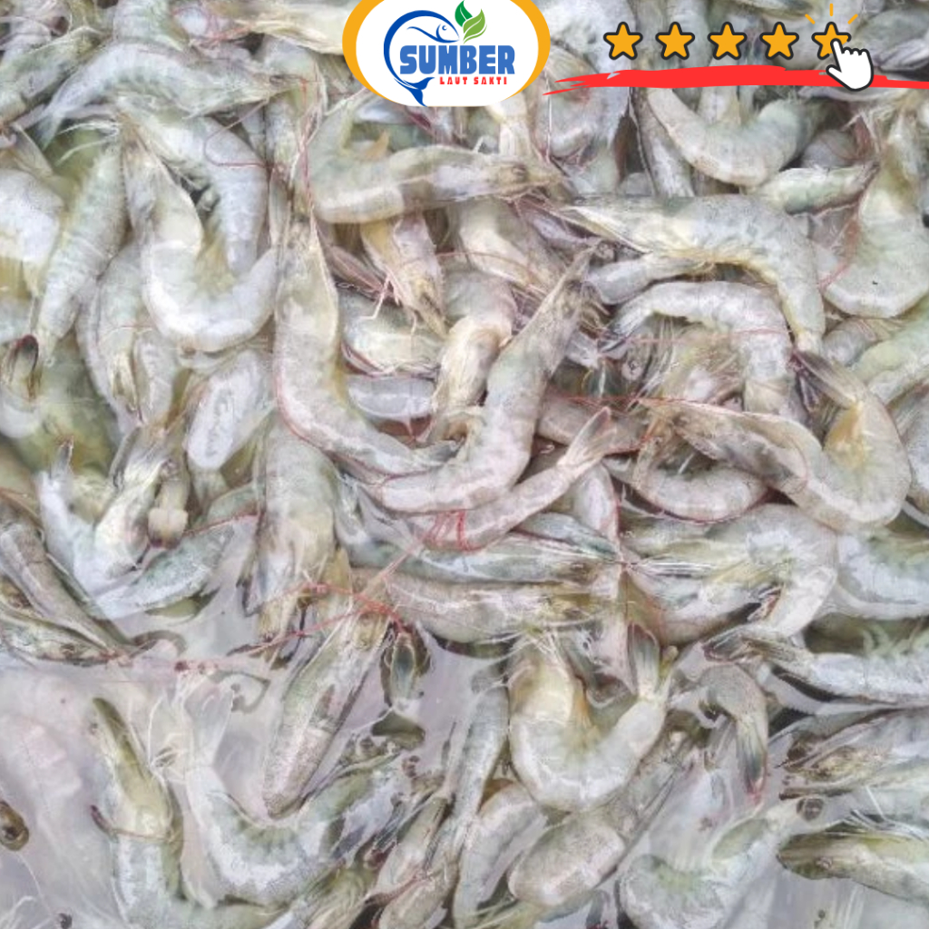 

UDANG VANAME KECIL SEGAR 1 KG