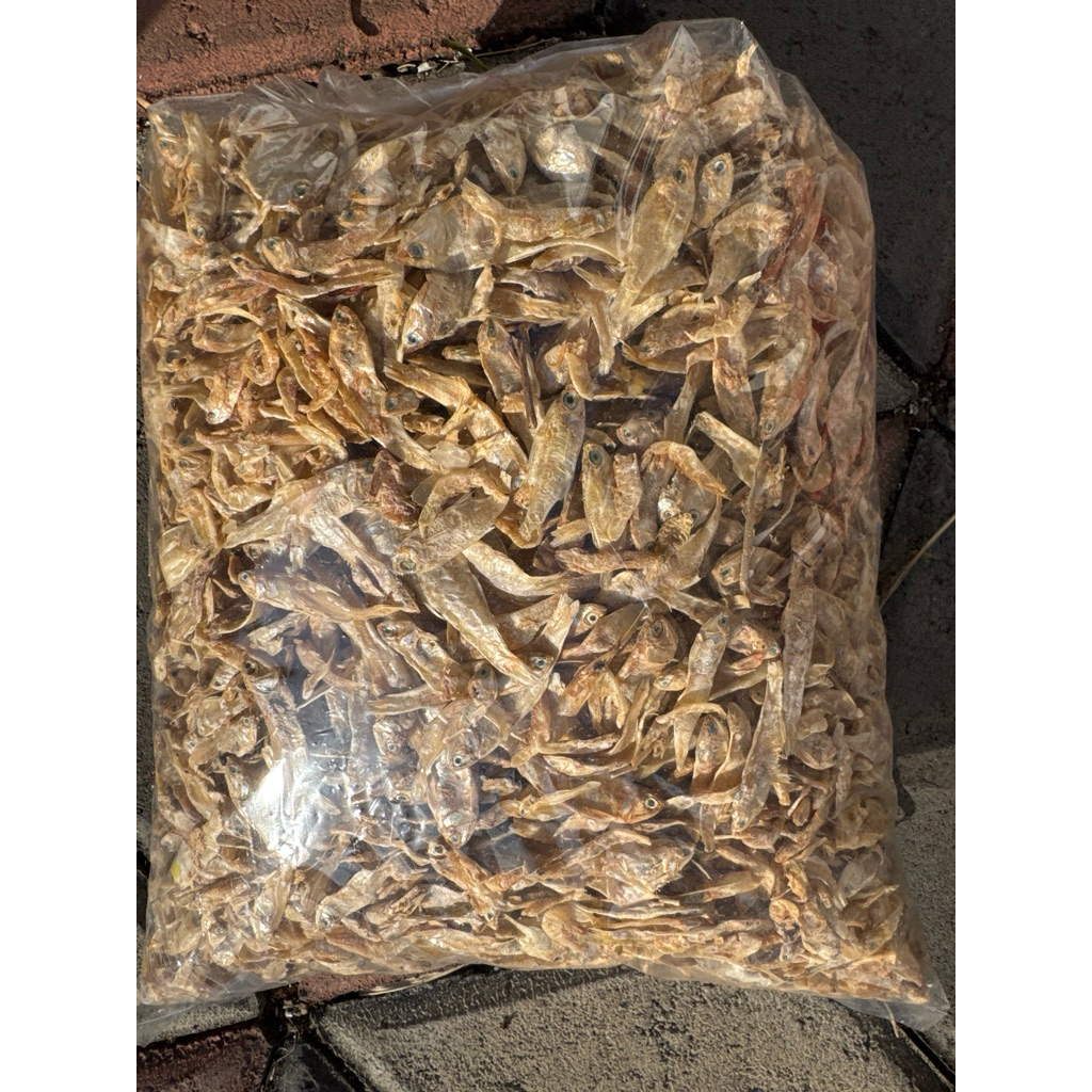 

ikan teri premium pasuruan 1kg