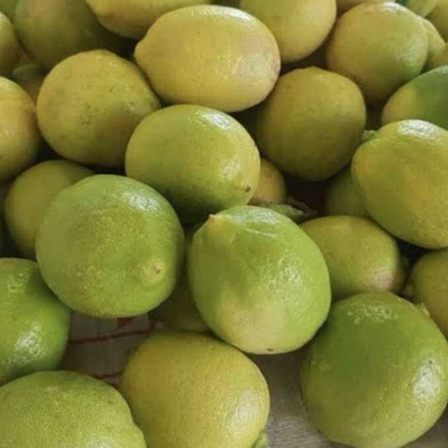 KIRIM INSTAN LEMON LOKAL / LEMON LOKAL SEGAR / LEMON LOKAL EXPRESS / BUAH LEMON LOKAL MURAH / TUKANG