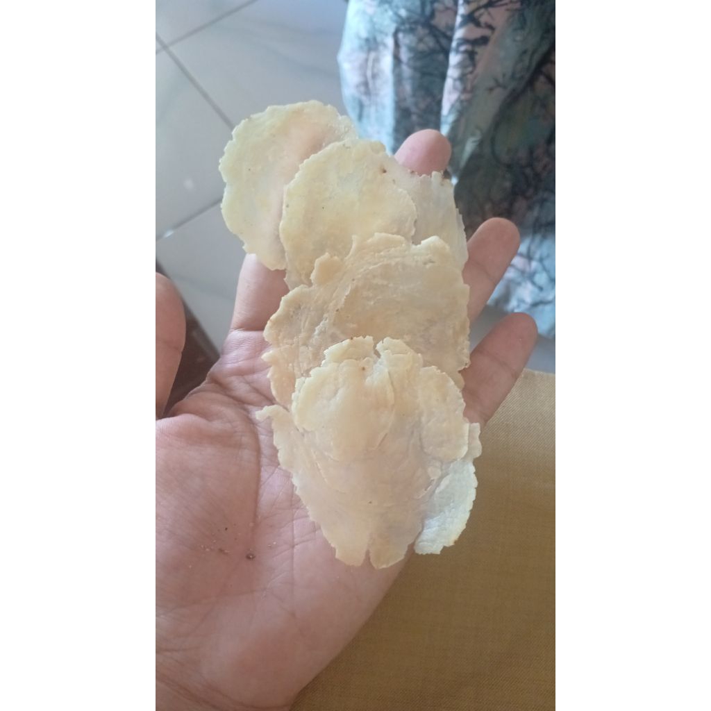 

emping premium dengan( 3 biji mlinjo)