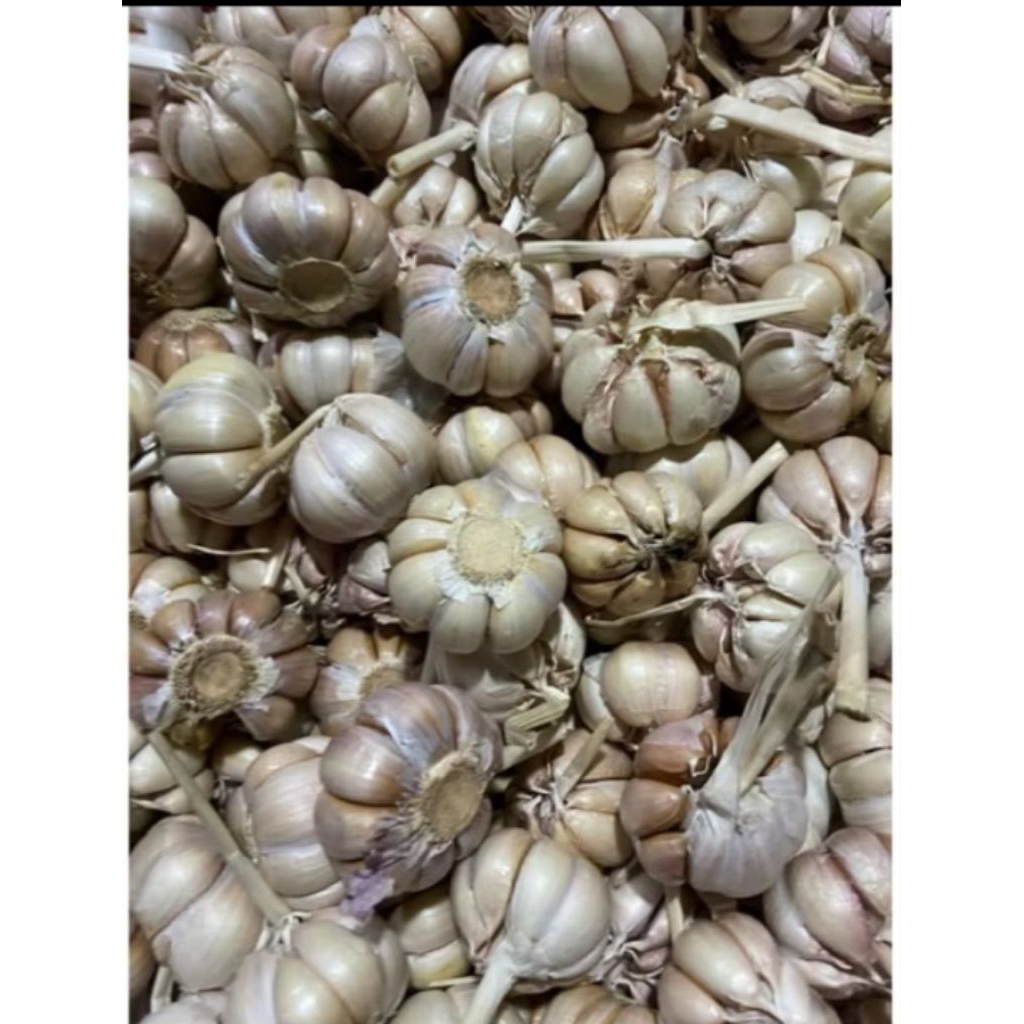 

bawang putih segar 500gr