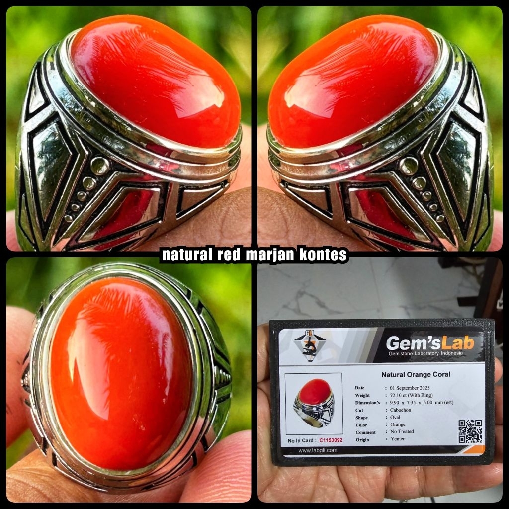 BATU RED CORAL MARJAN ASLI LAUT MERAH YEMEN JUMBO