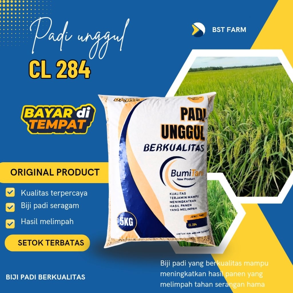Benih padi Bibit padi CL 284 original 5kg