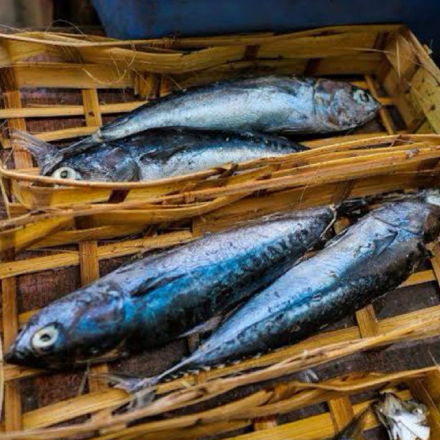 

KIRIM INSTAN IKAN CUE KERANJANG / IKAN CUE KERANJANG FRESH / IKAN CUE KERANJANG MURAH / IKAN CUE KERANJANG SEGAR / TUKANG SAYUR BEKASI ONLINE