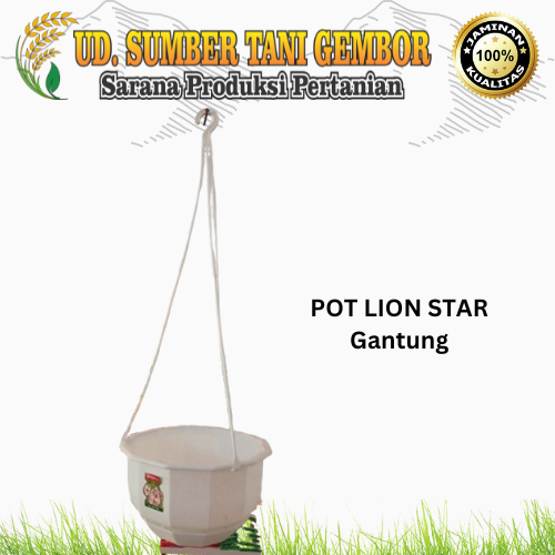 Pot Gantung - Lion Star - Warna: Putih - Pot Estetik - Pot Media Tanam