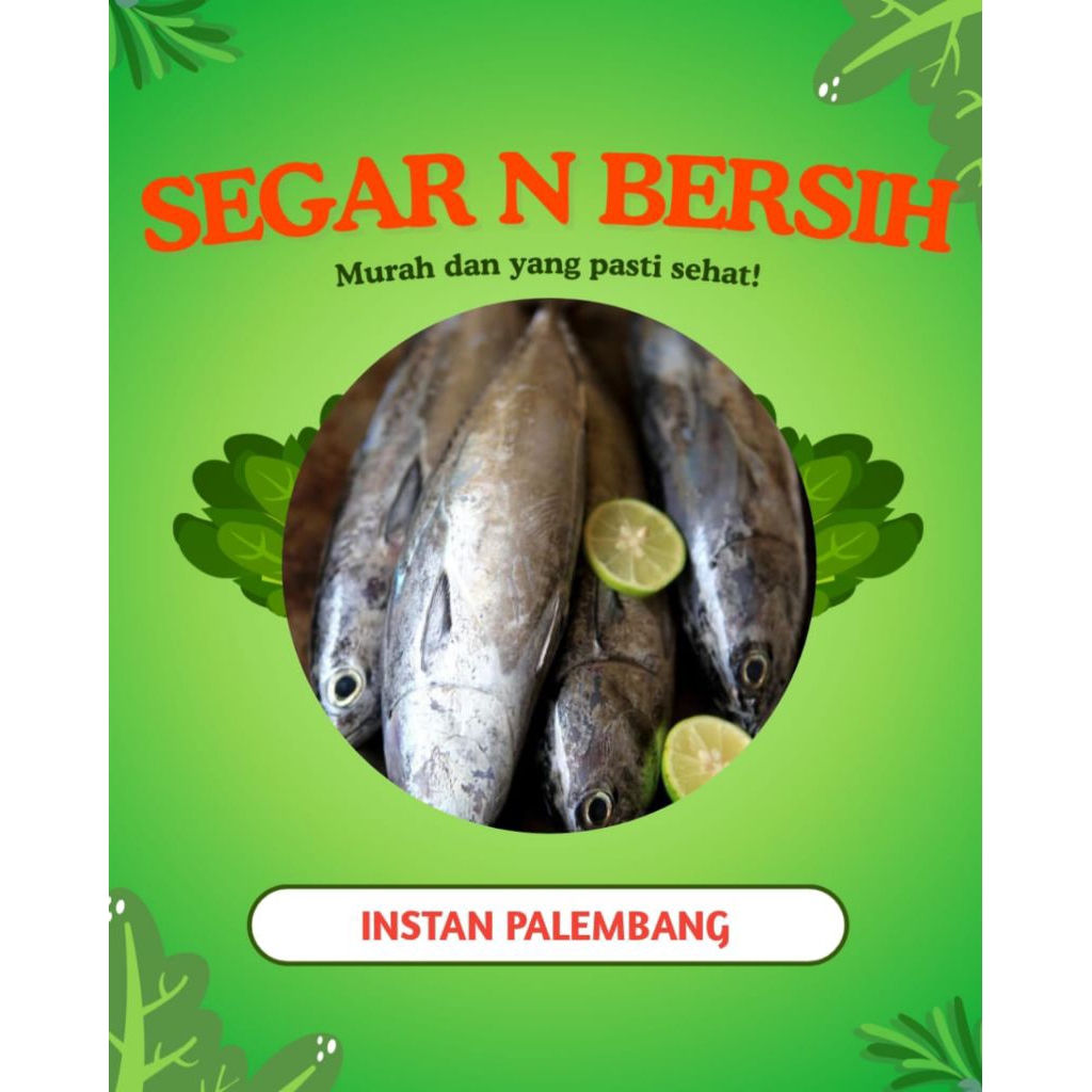 

IKAN TONGKOL SEGAR DAN BERSIH - INSTAN PALEMBANG
