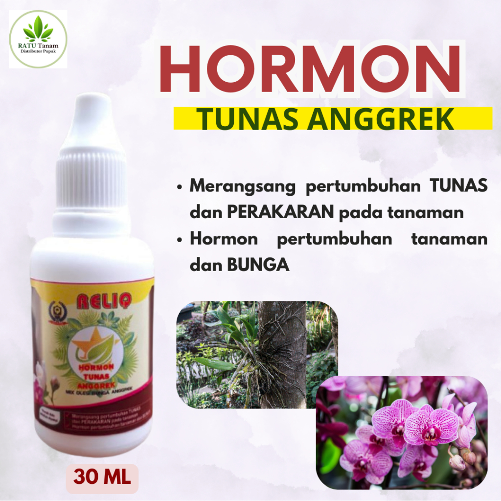 Hormon Penumbuh Anggrek, Hormon Pertumbuhan Tunas Bunga Anggrek