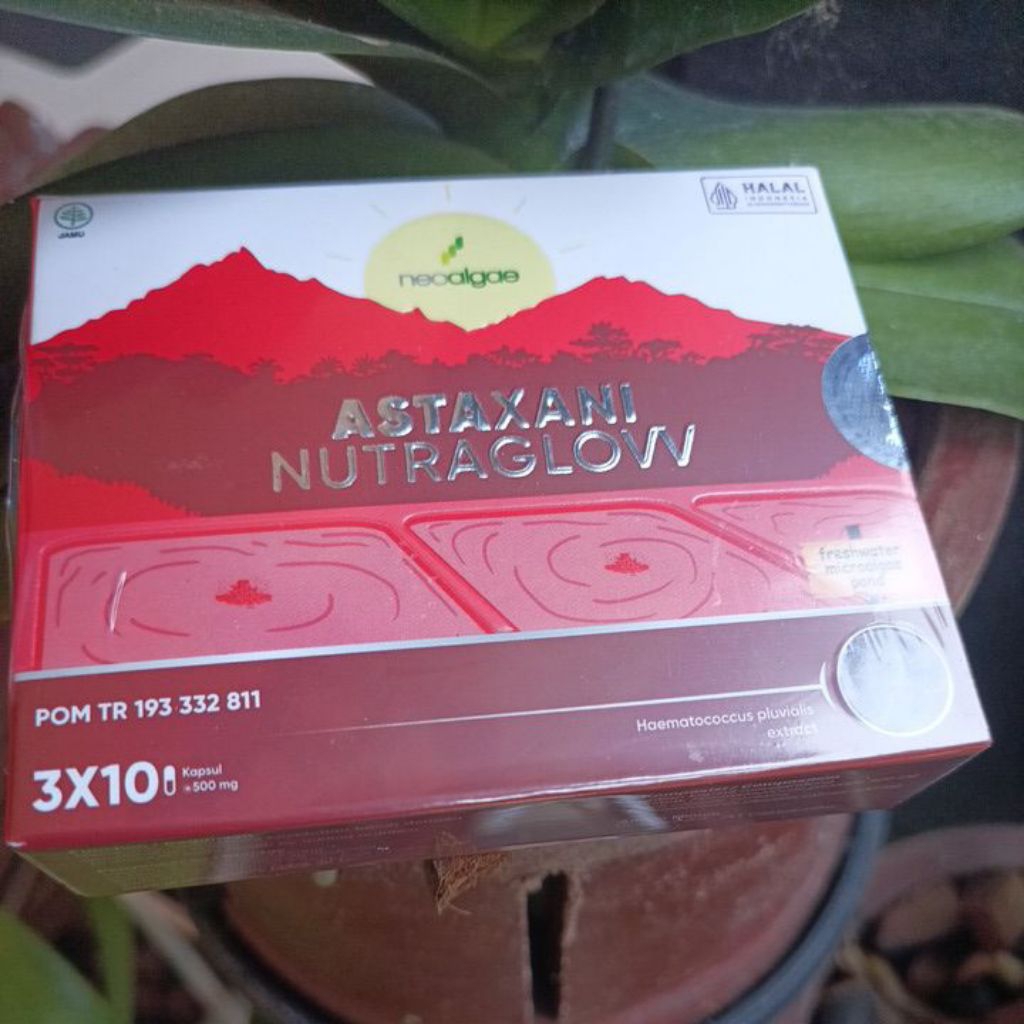 (ORIGINAL) Astaxani Nutraglow (Suplemen Astaxanthin 10mg Untuk Mencerahkan Kulit)