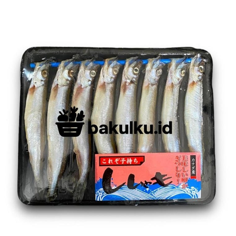 

Ikan Shisamo Fish Capelin Shisamo Premium 170gr