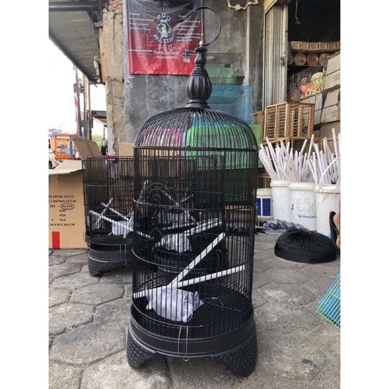 KANDANG BURUNG LOVEBIRD KAPSUL